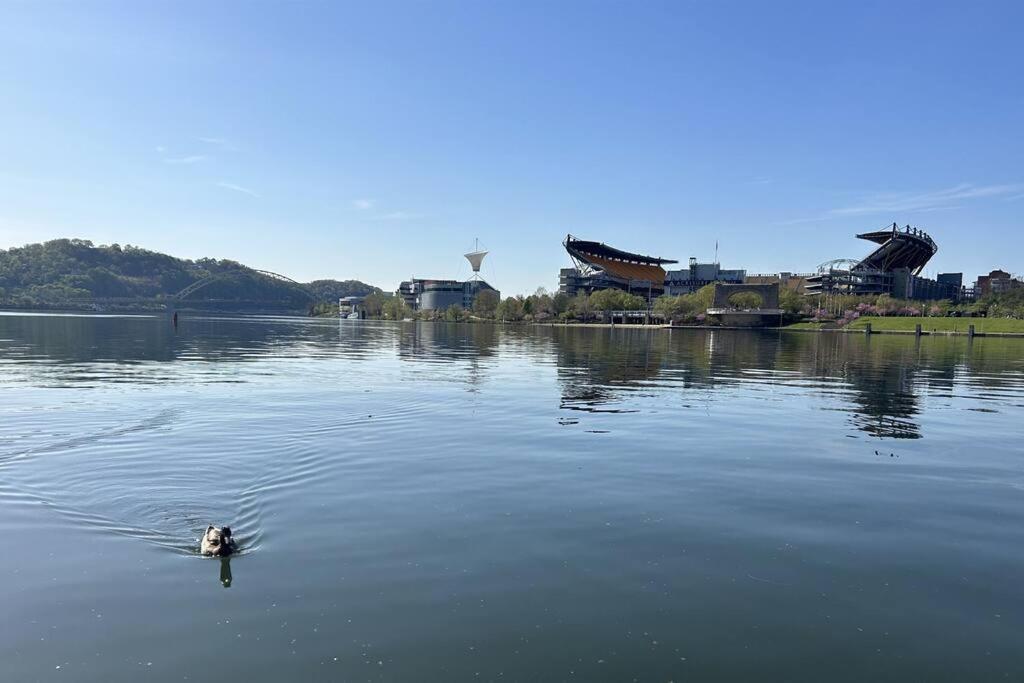 Sprawling Stadium Views Wonderful Location 24-7 Parking Gym Lounge Pittsburgh Eksteriør billede